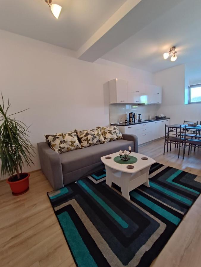 Moonlight Apartments Сибиу Екстериор снимка